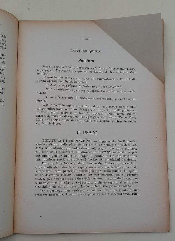 PER LA FRUTTICOLTURA INDUSTRIALE IN PROVINCIA DI ROMA-FASCICOLO PRIMO-PESCO-PERO-MELO-CILIEGIO(ANNI'20)