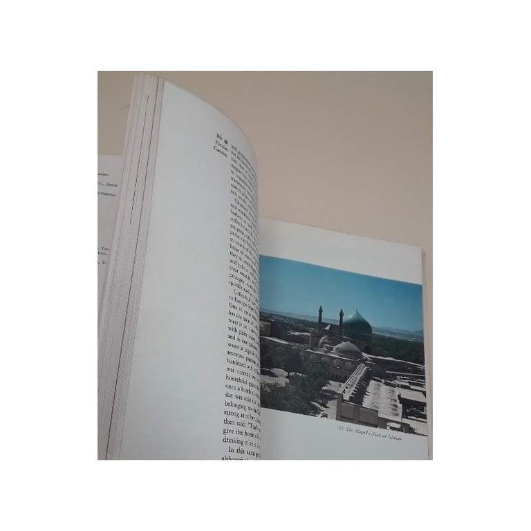 PERSIAN GARDENS &amp; GARDEN PAVILIONS(1962) | Immagine Gallery 9