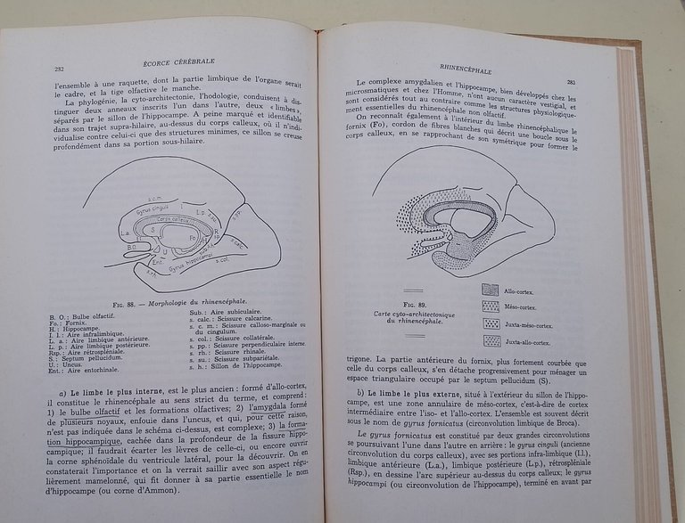 Physiologie du System Nerveux Central