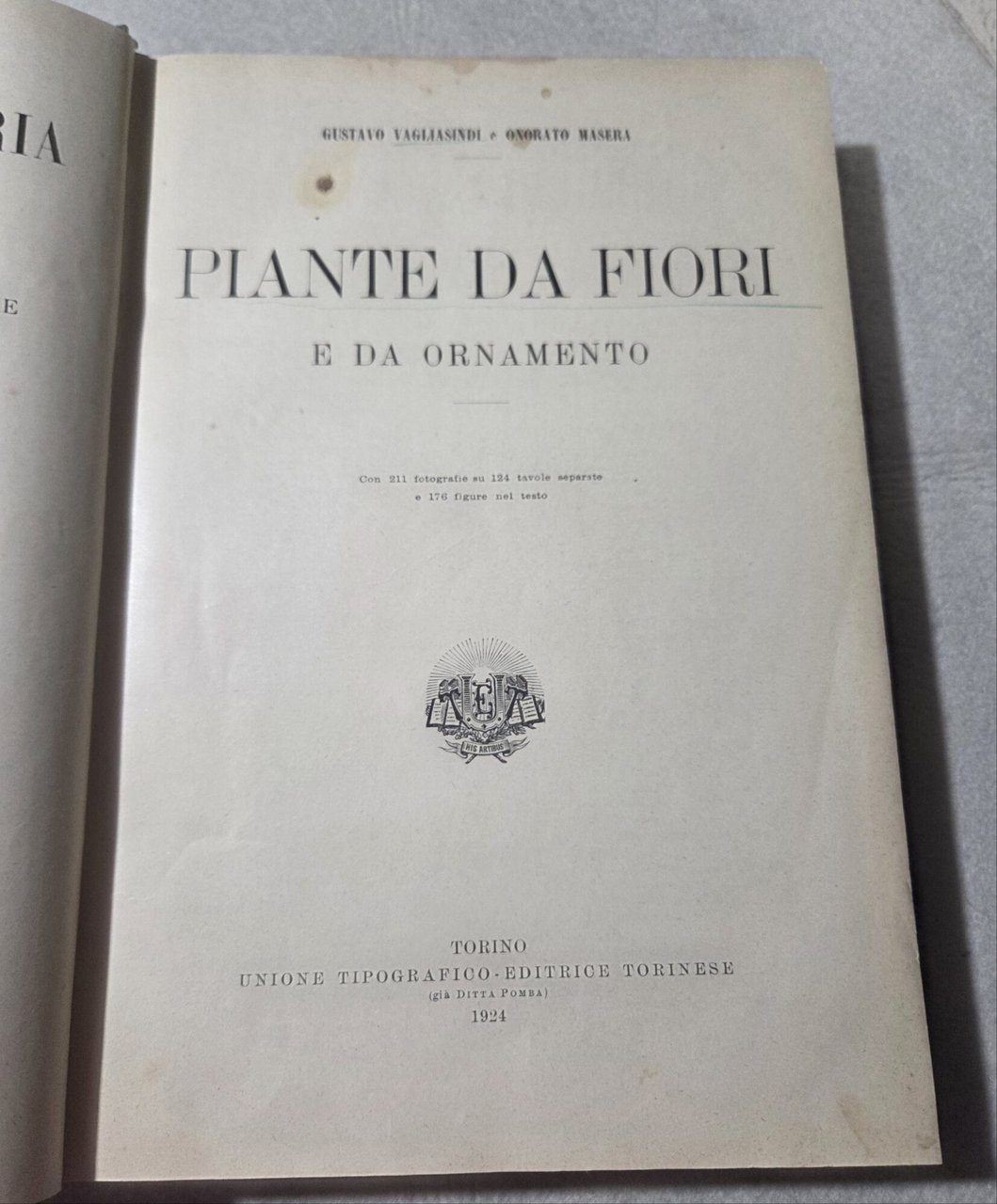 Piante da fiori e da ornamento | Immagine principale
