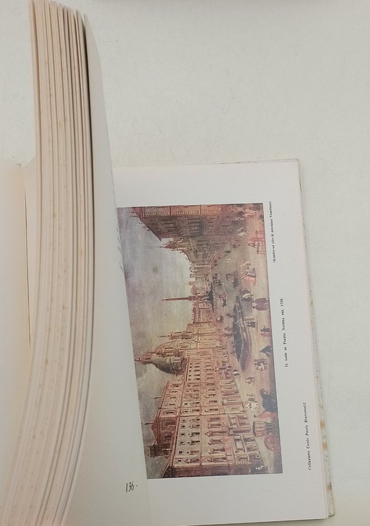 Piazza Navona nella storia e nell'arte