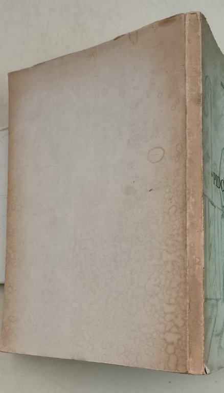 Pidocchietto