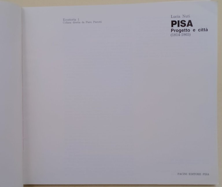 Pisa progetto e citta' 1814-1865