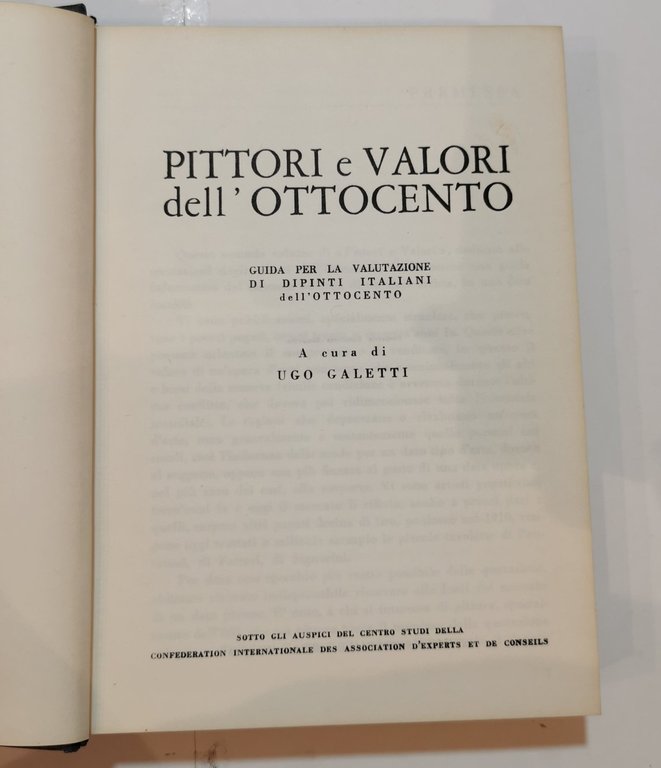 Pittori e valori dell' ottocento - guida per la valutazione …