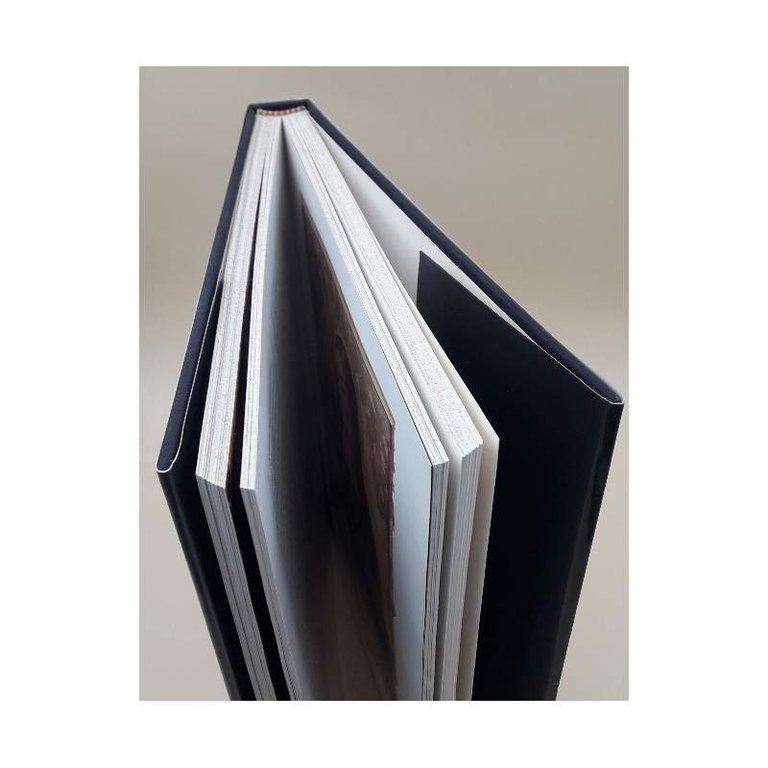 PITTURA E SCULTURA DALL'ETA' ROMANICA ALLA FINE DEL '500( 1990)