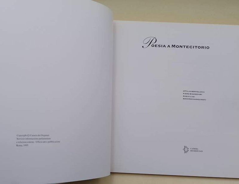 POESIA A MONTECITORIO(1995)