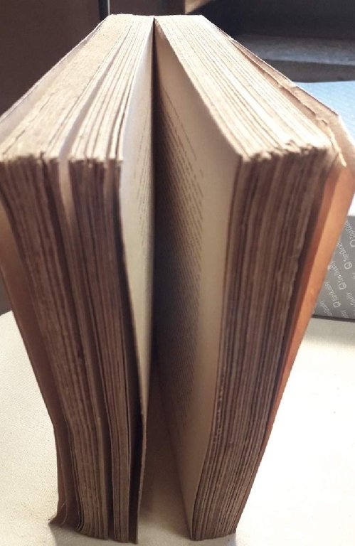 POLITICA E LEGISLAZIONE-SAGGI RACCOLTI DA G.FORTUNATO(1915)