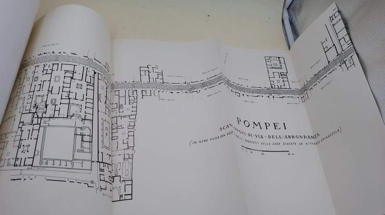 POMPEI ALLA LUCE DEGLI SCAVI NUOVI DI VIA DELL'ABBONDANZA( ANNI …