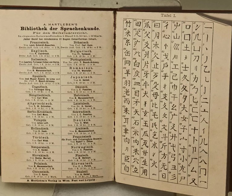 Praktische Grammatik der Chinesischen Sprache fur den Selbstunterricht