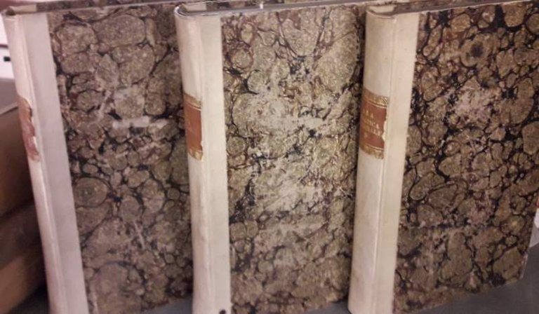 PRATICA CRIMINALE (1829)