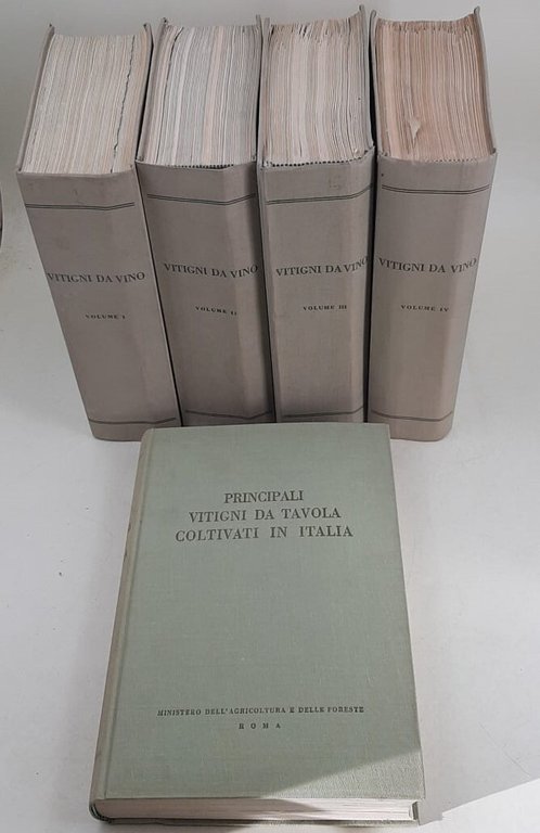 PRINCIPALI VITIGNI DA VINO COLTIVATI IN ITALIA 5 VOLL. ( … | Immagine Gallery 2