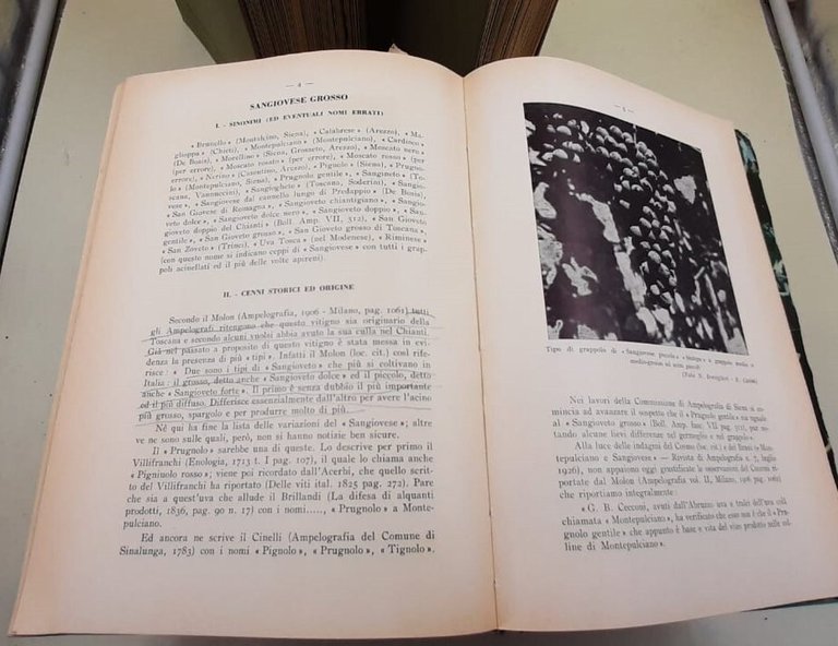 PRINCIPALI VITIGNI DA VINO COLTIVATI IN ITALIA 5 VOLL. ( … | Immagine Gallery 9