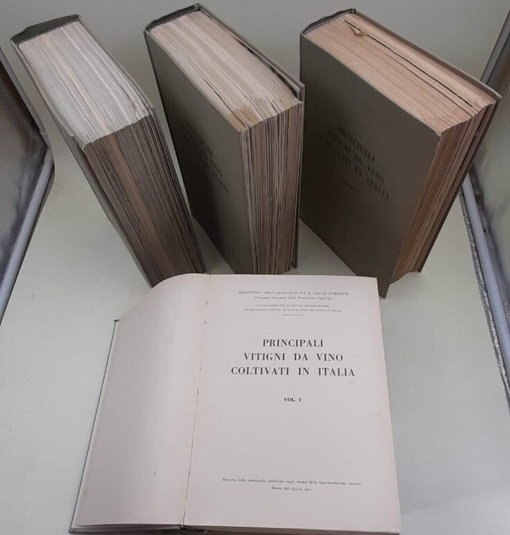 PRINCIPALI VITIGNI DA VINO COLTIVATI IN ITALIA 5 VOLL. ( … | Immagine Gallery 10