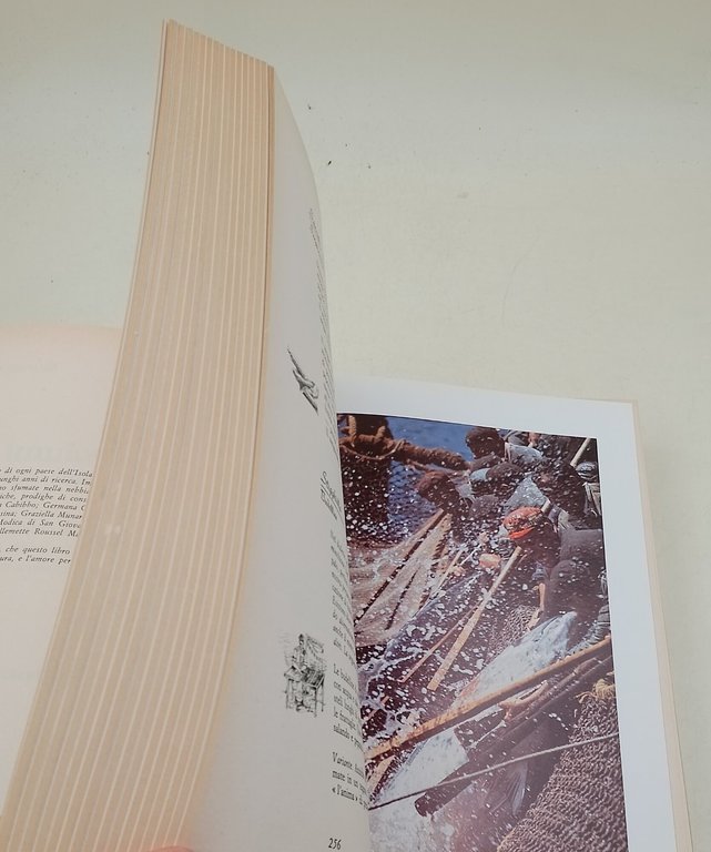 Profumi di Sicilia- Il Libro della cucina siciliana