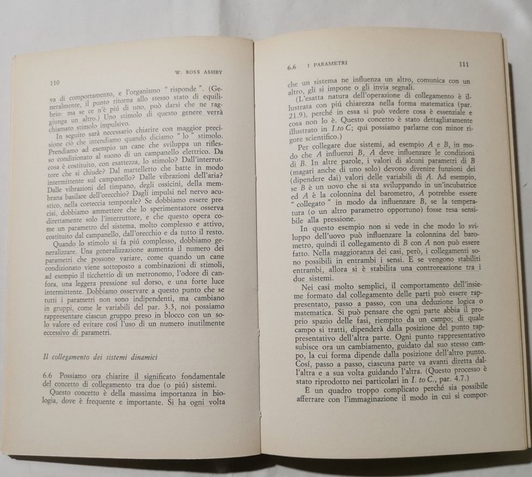 Progetto per un cervello