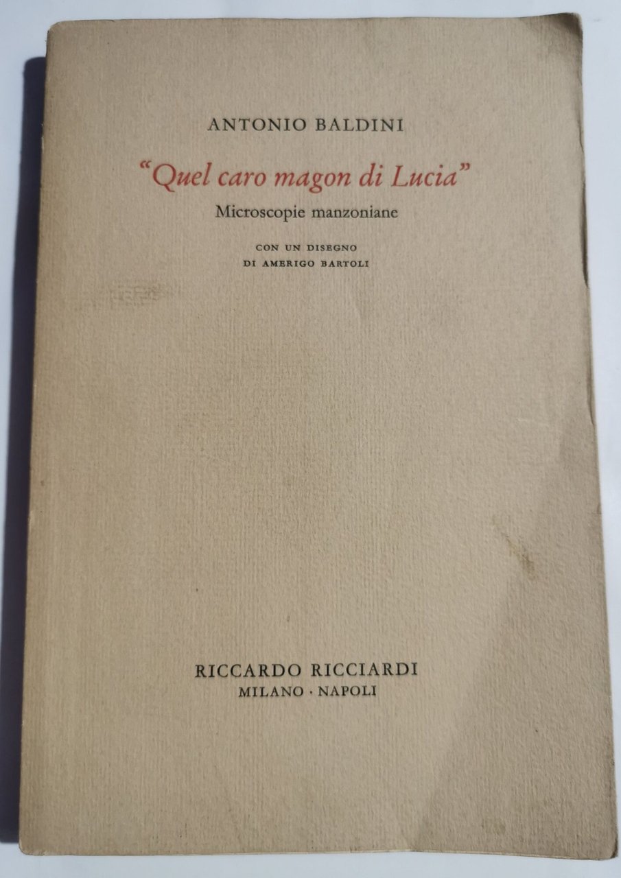 Quel caro magon di Lucia - Microscopie manzoniane