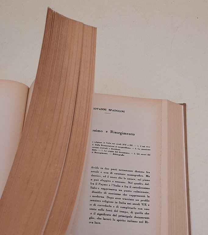 Questioni di Storia del Risorgimento e dell'Unita' d'Italia | Immagine Gallery 3