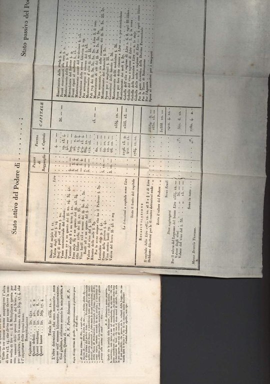 REGOLE TEORICO-PRATICHE E RUSTICO-LEGALI per fare le stime dei Predj …