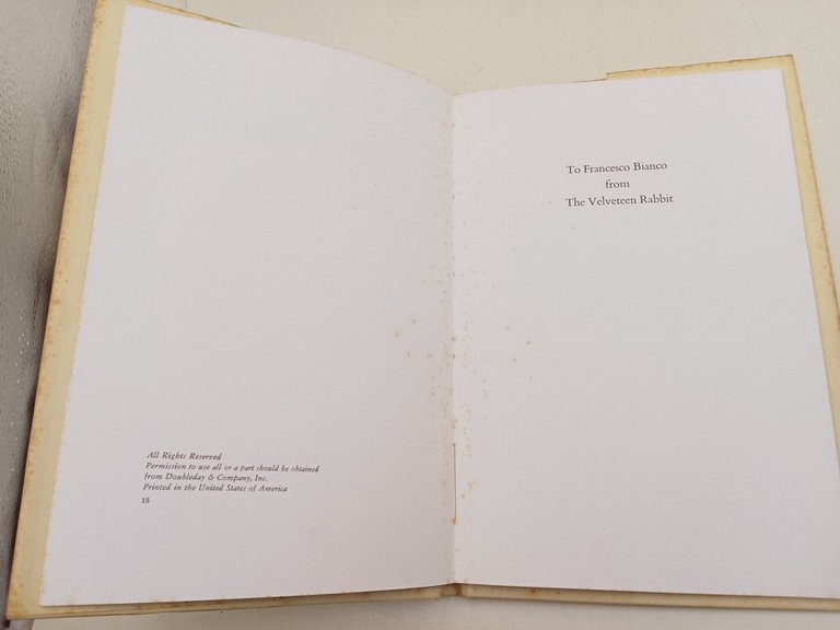 Rge Velveteen Rabbit or how toys become real | Immagine Gallery 2