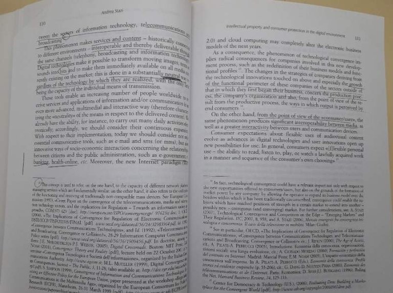 RIMEDI E TECNICHE DI PROTEZIONE DE CONSUMATORE(2011)