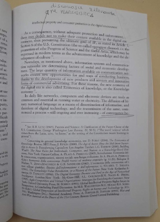 RIMEDI E TECNICHE DI PROTEZIONE DE CONSUMATORE(2011)