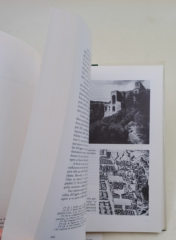 Roma e l'Antico nell'arte e nella cultura del Cinquecento | Immagine Gallery 3