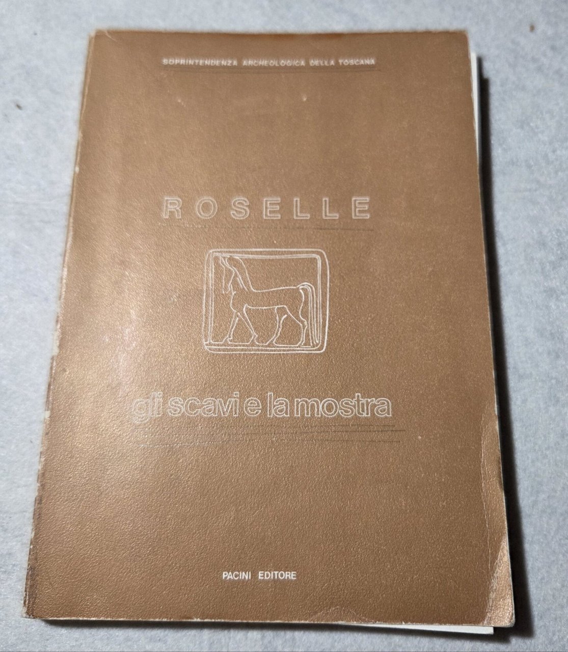 Roselle gli scavi e la mostra | Immagine principale