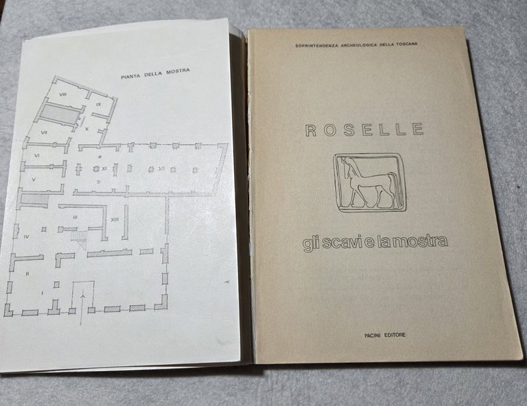 Roselle gli scavi e la mostra | Immagine Gallery 2