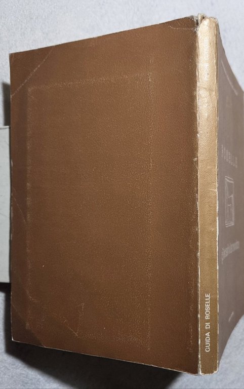 Roselle gli scavi e la mostra | Immagine Gallery 3