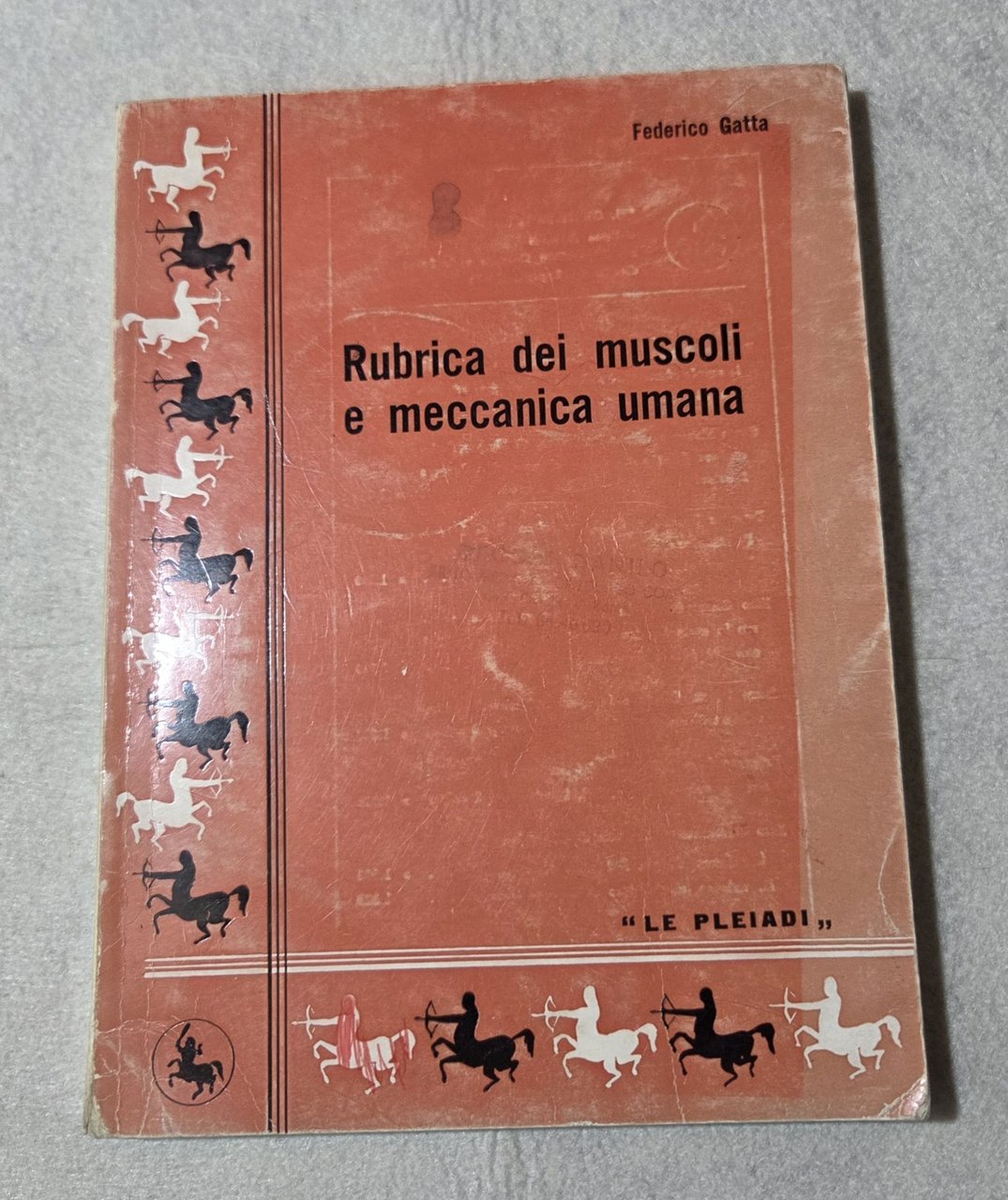 Rubrica dei muscoli e meccanica umana | Immagine principale
