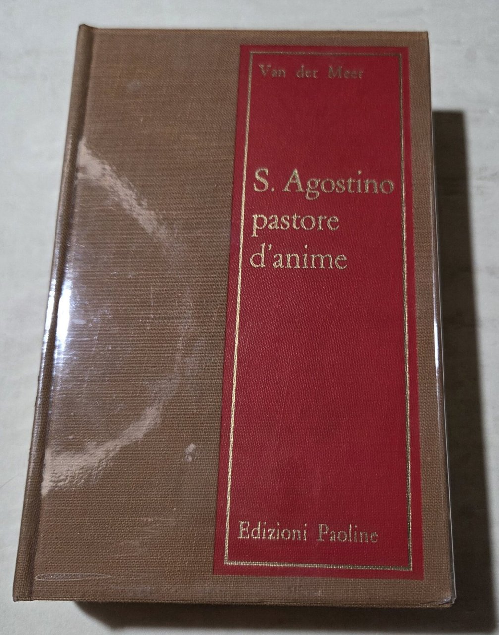 Sant'Agostino pastore d'anime