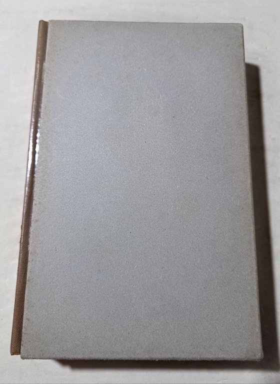 Sant'Agostino pastore d'anime