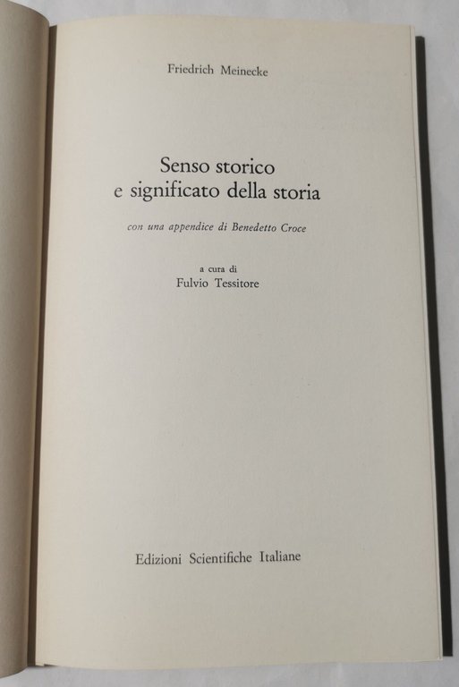 Senso storico e significato della storia
