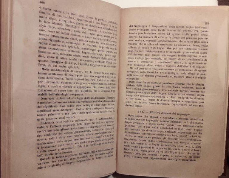 SISTEMA DELLA SCIENZA DELLE LINGUE(1864)