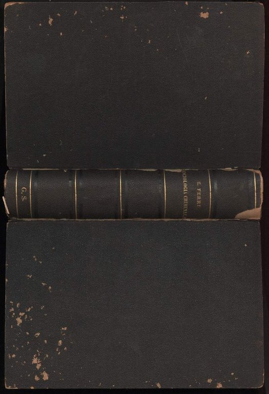 SOCIOLOGIA CRIMINALE(FINE 1800) | Immagine Gallery 6