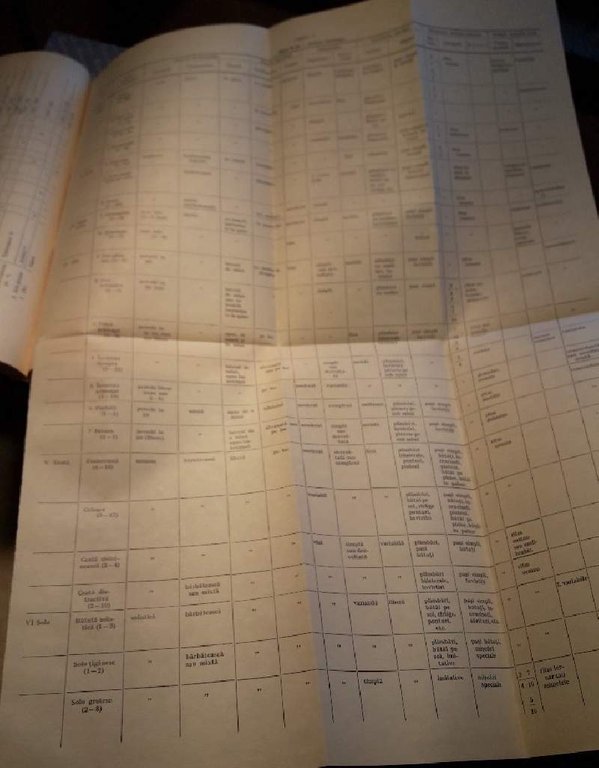 SPECIFICUL DANSULUI POPULAR ROMANESC(1971)