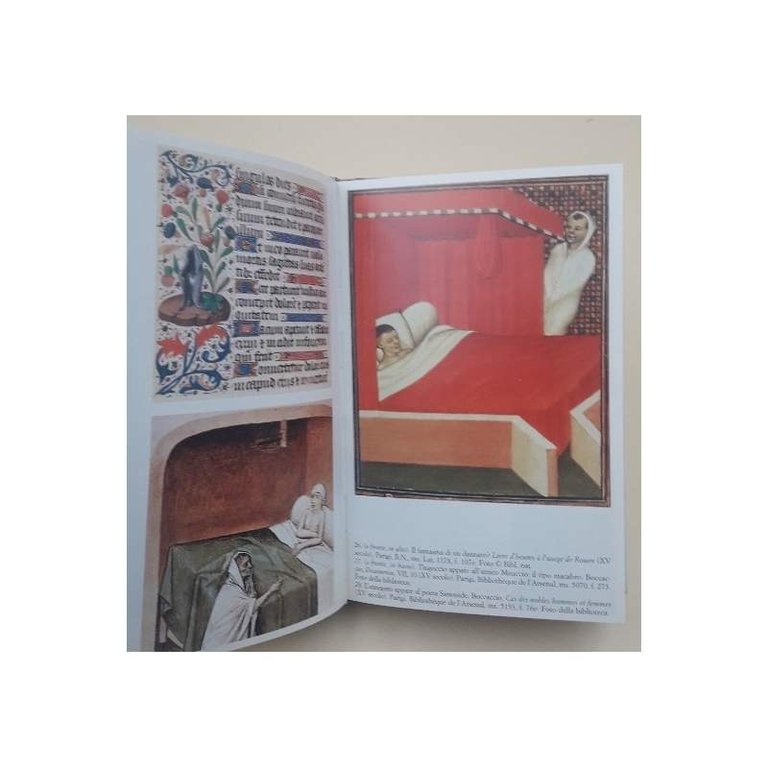 SPIRITI E FANTASMI NELLA SOCIETA' MEDIEVALE(1995)