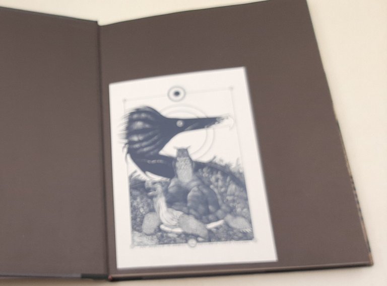 State of the Blues | Immagine Gallery 6