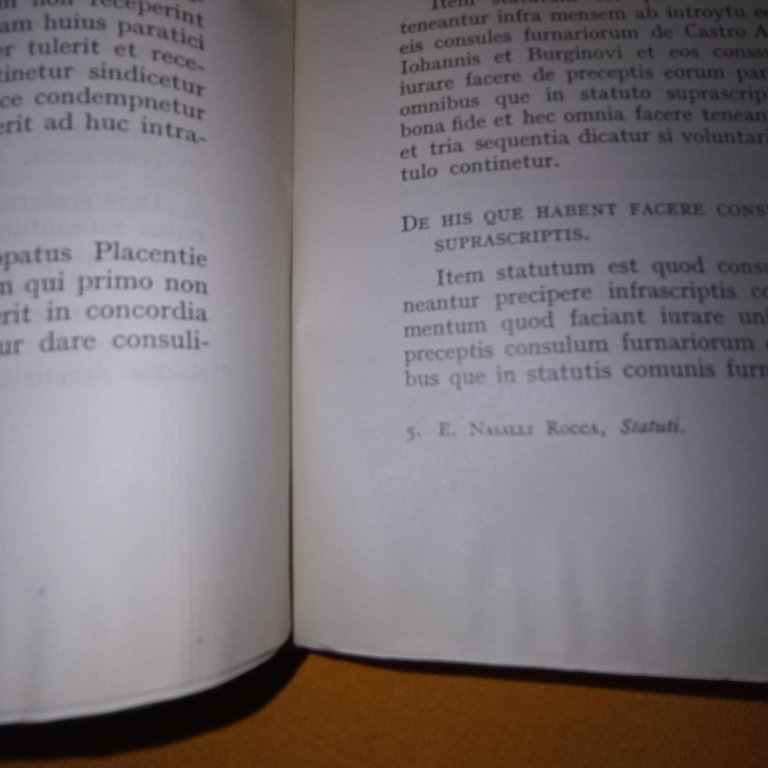 Statuti di corporazioni artigiane piacentine (secoli XV - XVIII)
