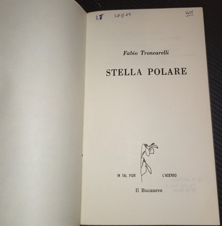 Stella polare