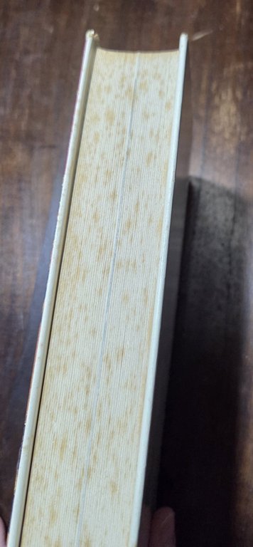 Storia dell'intolleranza in Europa - Sospettare e punire | Immagine Gallery 4