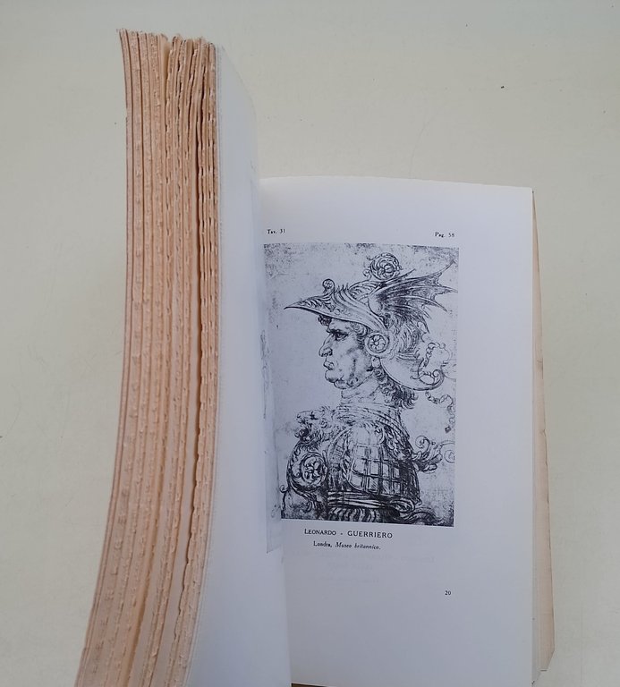 Storia dell'opera pittorica di Leonardo da Vinci ( Anastatica )