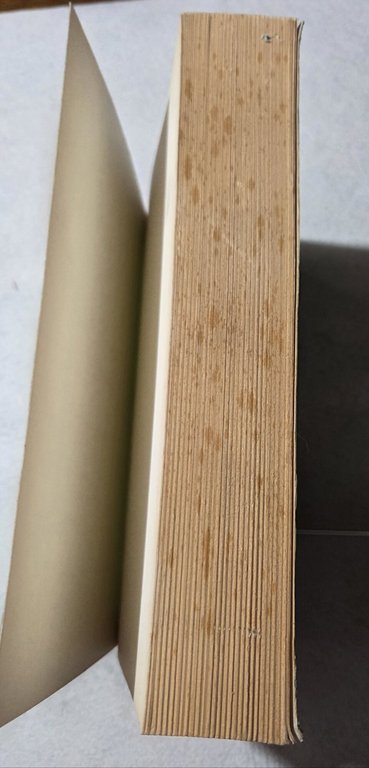 Storia della letteratura greca: I' - Omero | Immagine Gallery 4