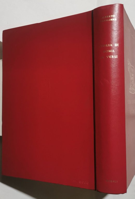 Storia di Roma in versi
