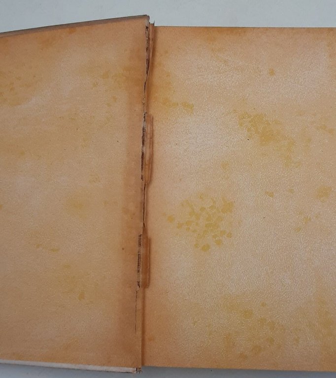 Storia interna di Roma e del Govrno d'Italia e delle … | Immagine Gallery 3