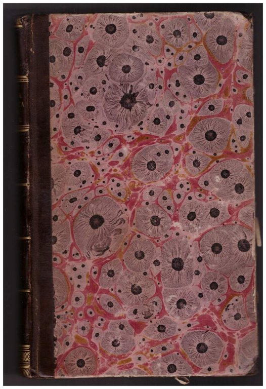 STORIA PITTORICA DELLA ITALIA dal Risorgimento delle belle arti fin … | Immagine Gallery 5