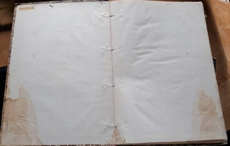 STRENNA DELLA ILLUSTRAZIONE ITALIANA PER L'ANNO 1880