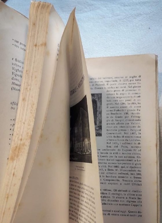 SUL FRONTE DI VELLETRI- APPUNTI E RACCONTI DI GUERRA CON …