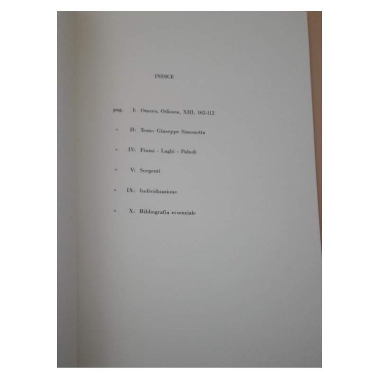 SULLE ANTICHE FONTI DI ROMA(1988)