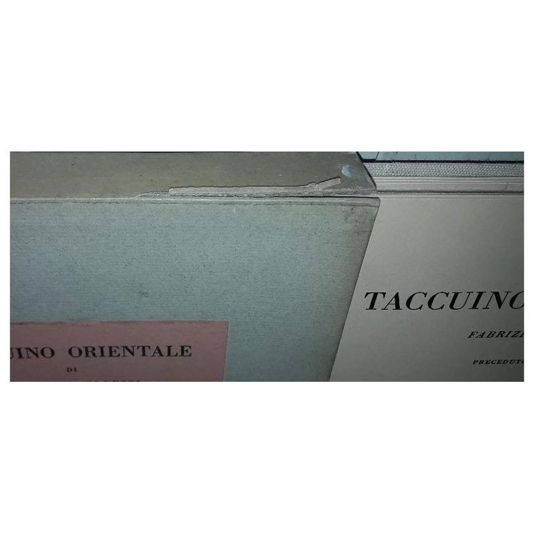 TACCUINO ORIENTALE-Preceduto dalla lunghissima notte nel deserto di libero de …